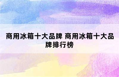 商用冰箱十大品牌 商用冰箱十大品牌排行榜